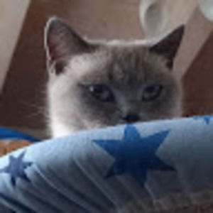 Meet your Posher, Mika